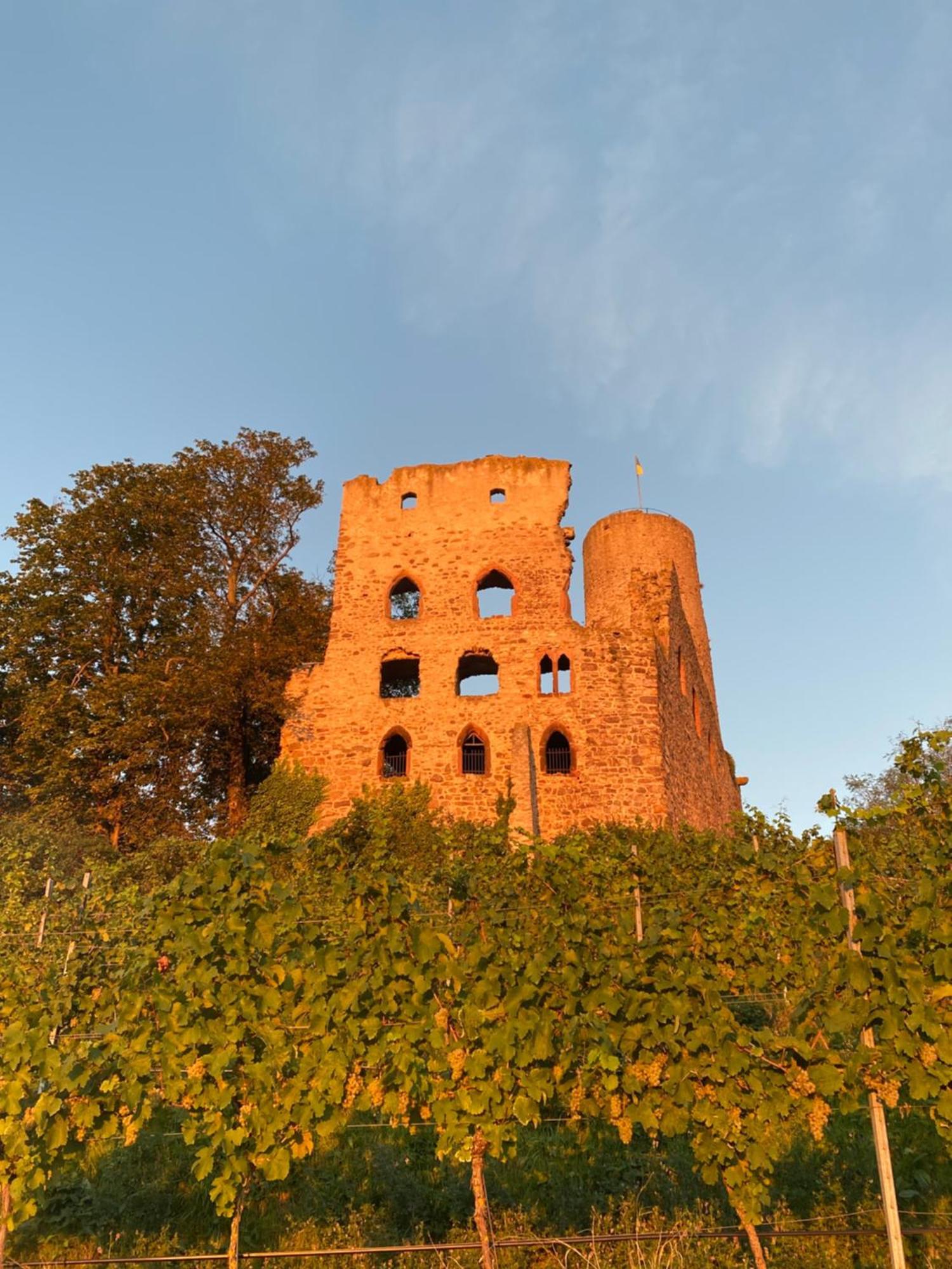 Hotel Scheid Schriesheim Dış mekan fotoğraf