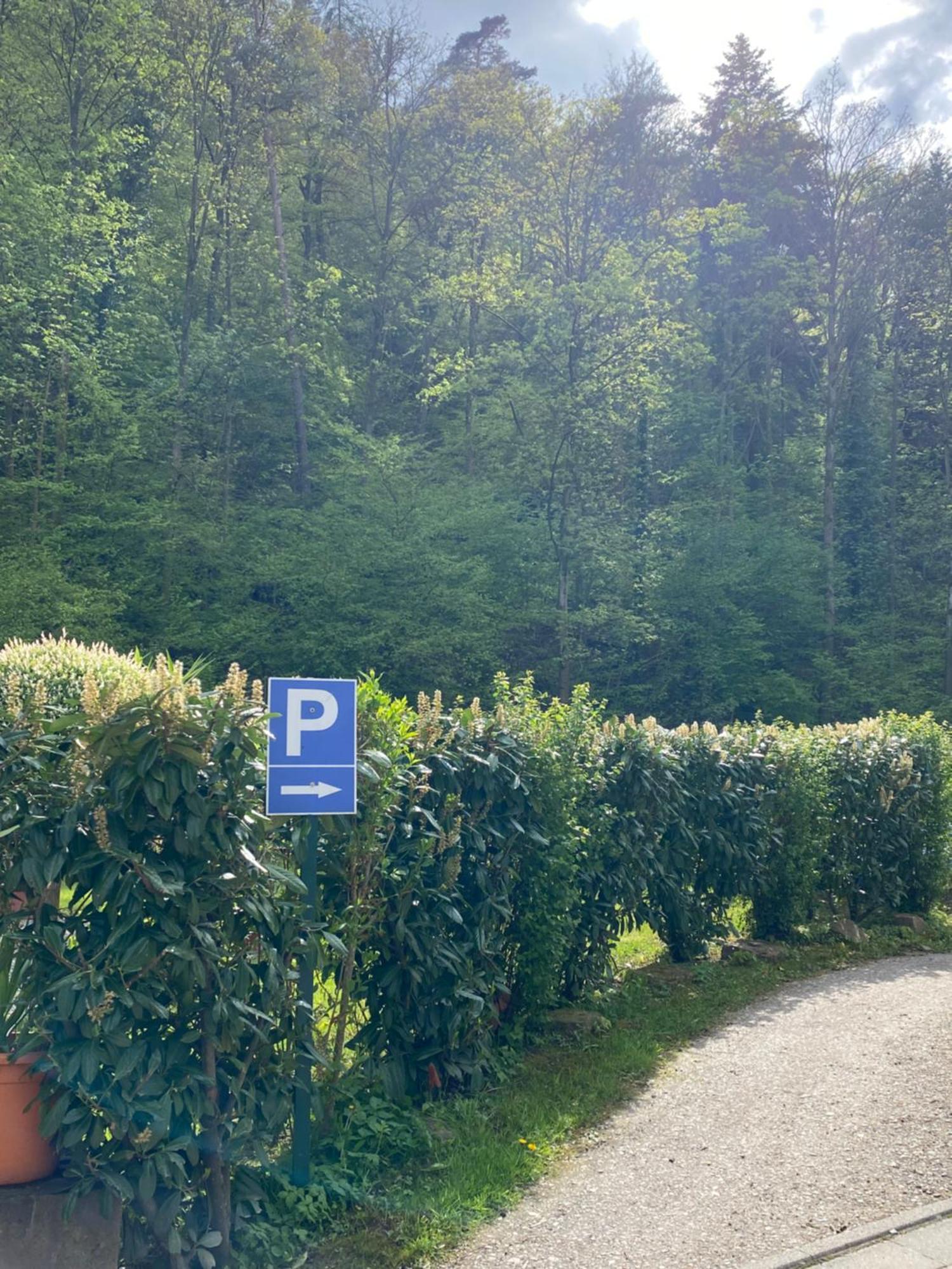 Hotel Scheid Schriesheim Dış mekan fotoğraf